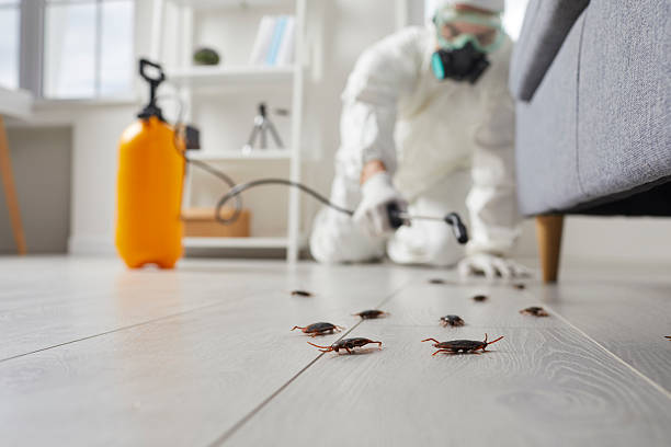 Post-Treatment Bed Bug Interceptor Monitoring in Slocomb