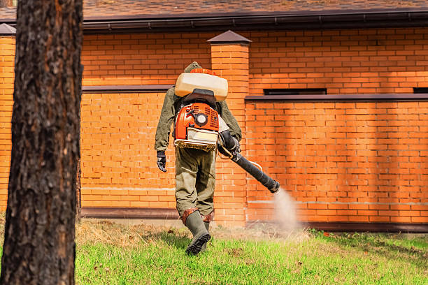 Bed Bug Clearance Verification and Documentation in Slocomb
